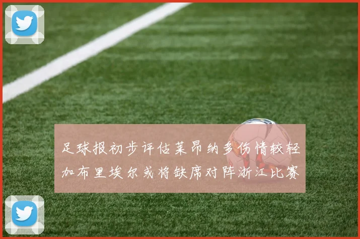 足球报初步评估莱昂纳多伤情较轻加布里埃尔或将缺席对阵浙江比赛