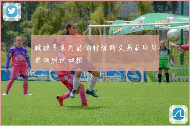 鹈鹕寻求用赫伯特琼斯交易获取贝恩级别的回报