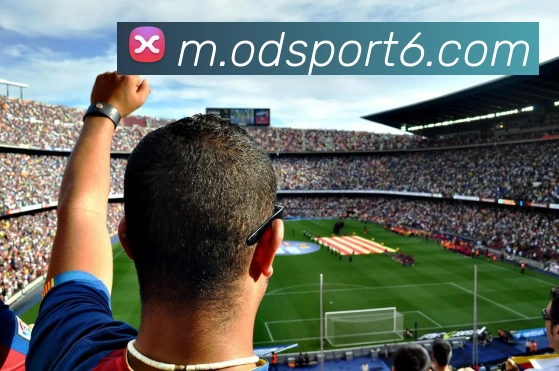 OD体育品牌故事